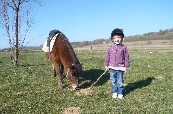 Poney Club Eric Lagarrigue