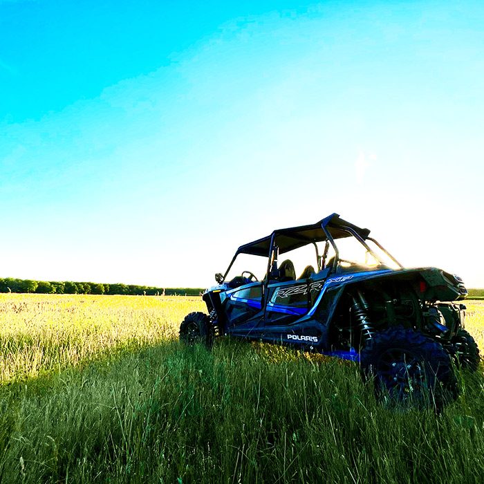 Le Buggy en Folie