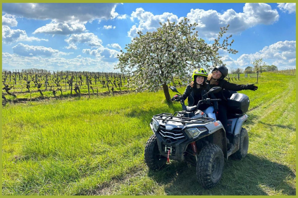 Off-Road Wine Tours