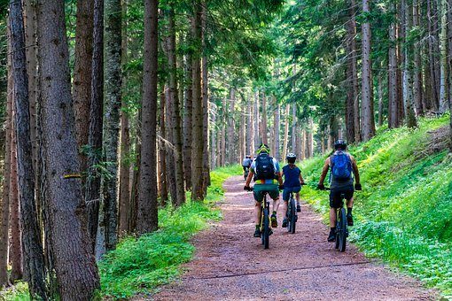 Location de VTT au Camping du Lac