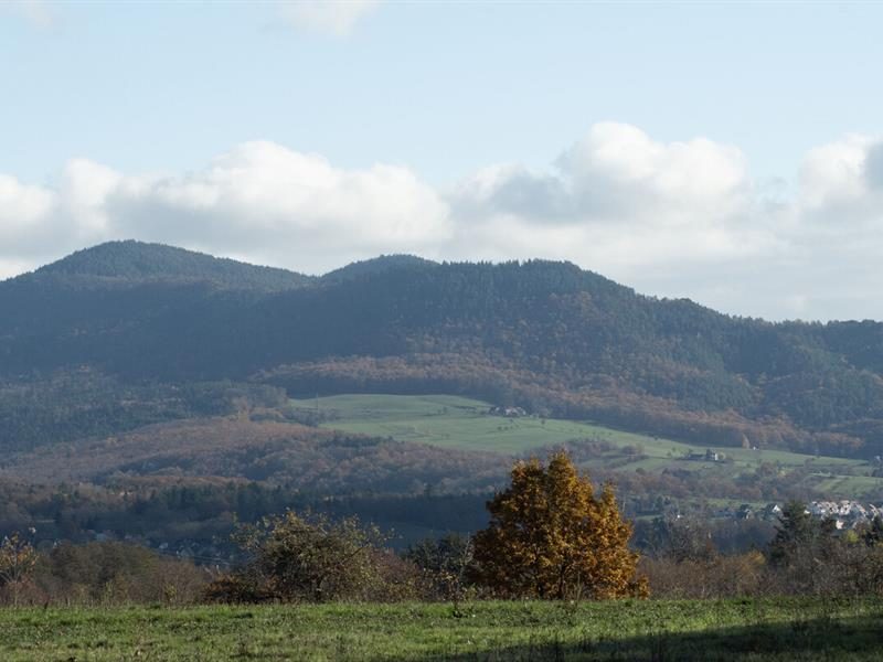 Gîte aux Pieds des Montagnes