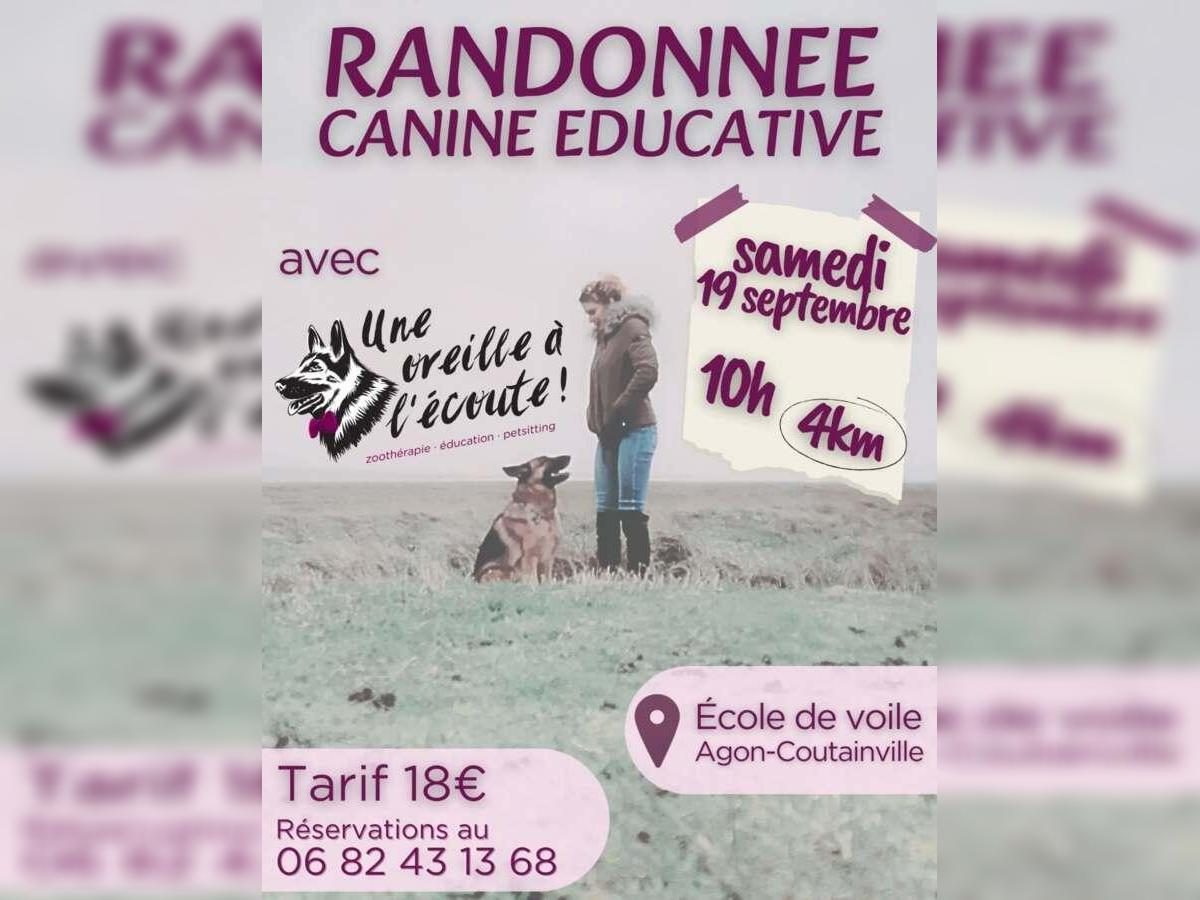 Randonnée canine éducative