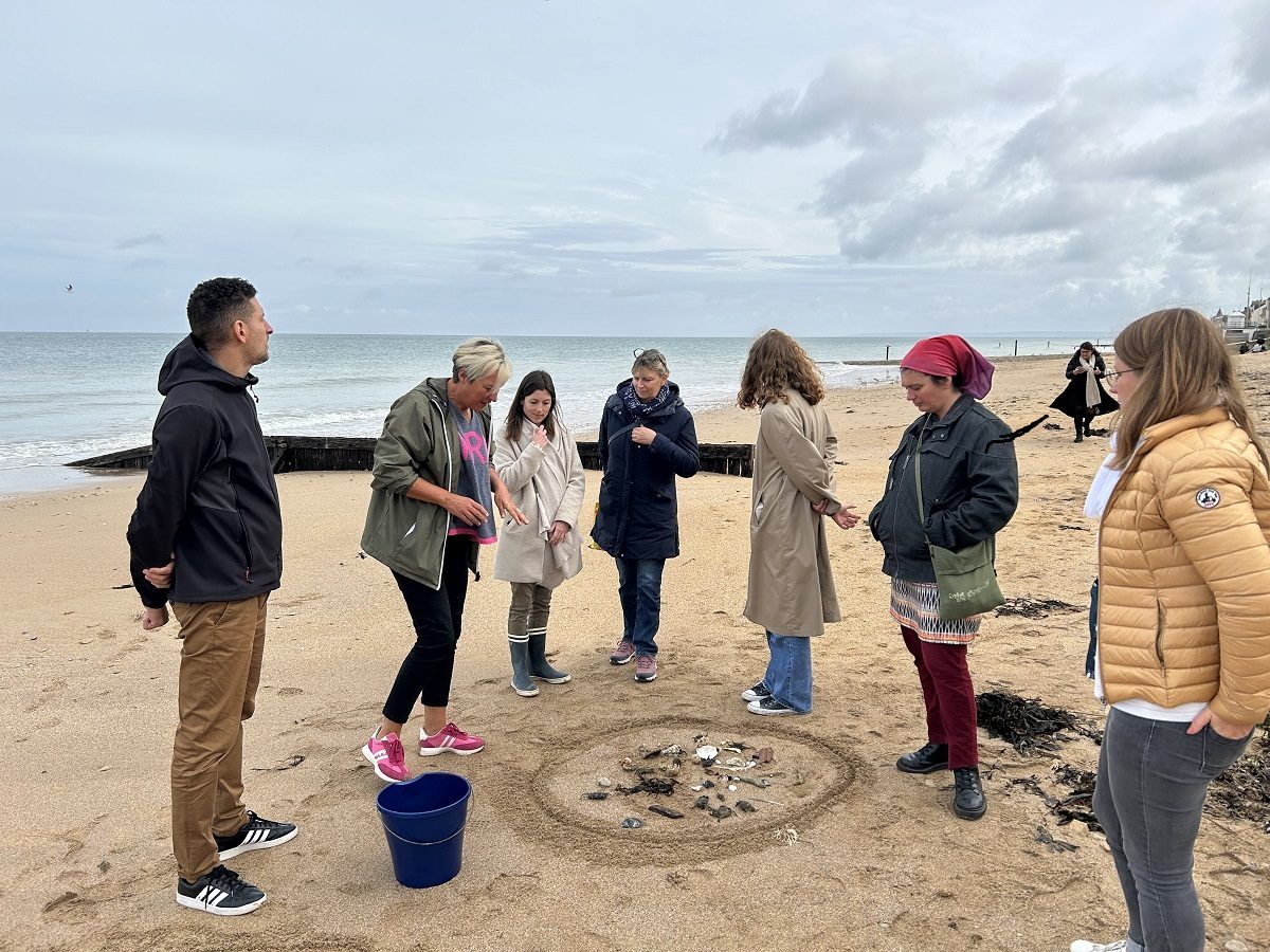 Environnement et créatures de la plage à Saint-Aubin-sur-Mer