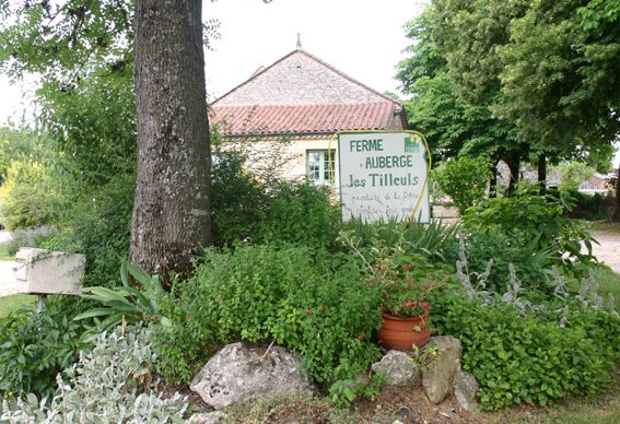 Ferme Auberge Les Tilleuls