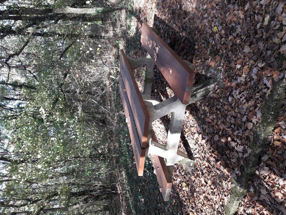 Aire de pique-nique du bois de Cuismes