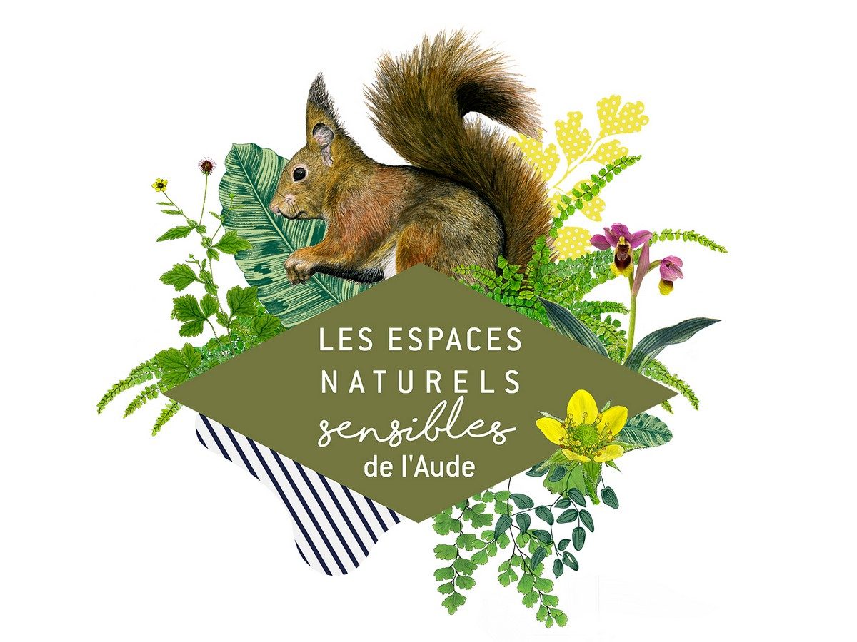 ENS - L'ÉCOLOGIE DU CERF ÉLAPHE
