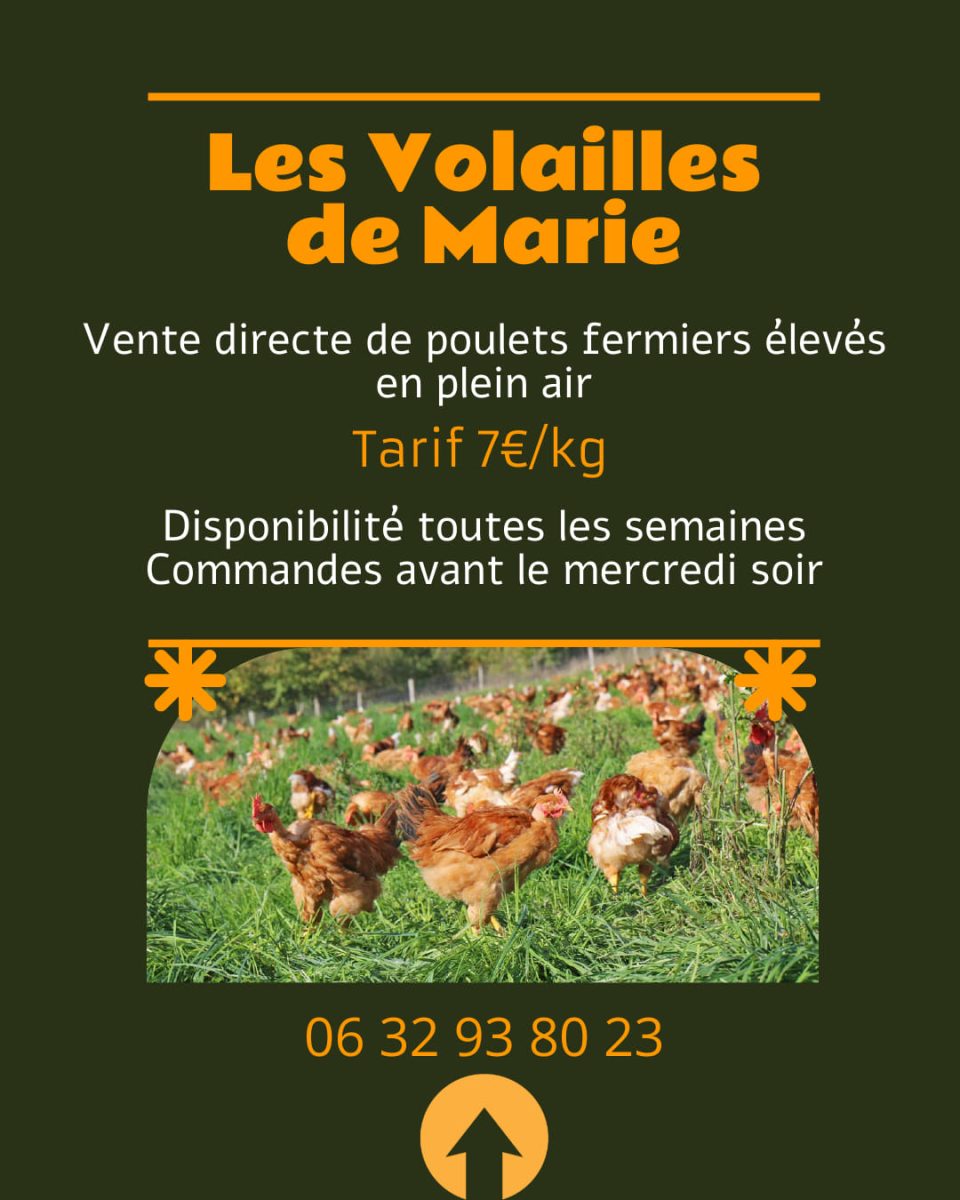 Les volailles de Marie - Earl Bidouet