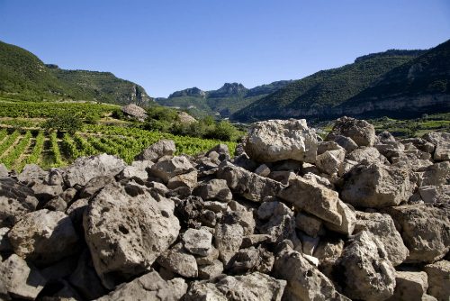 DOMAINE DU PAS DE L'ESCALETTE