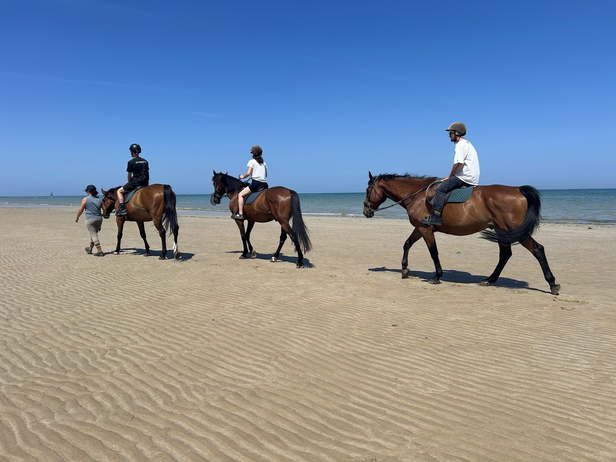 Courseulles équitation