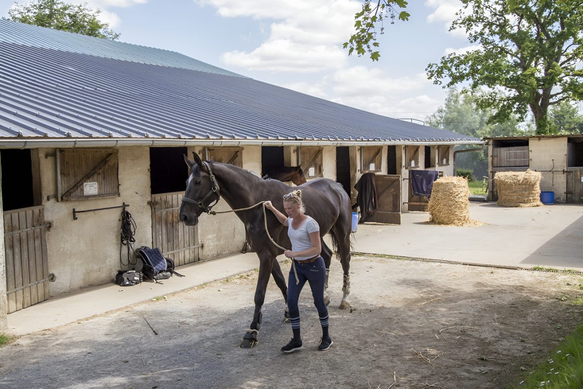 Renarderie Equitation