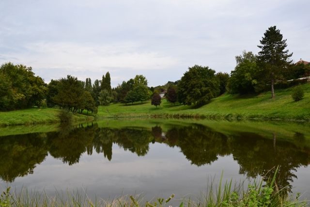 Pêche aux étangs d'Arliquet