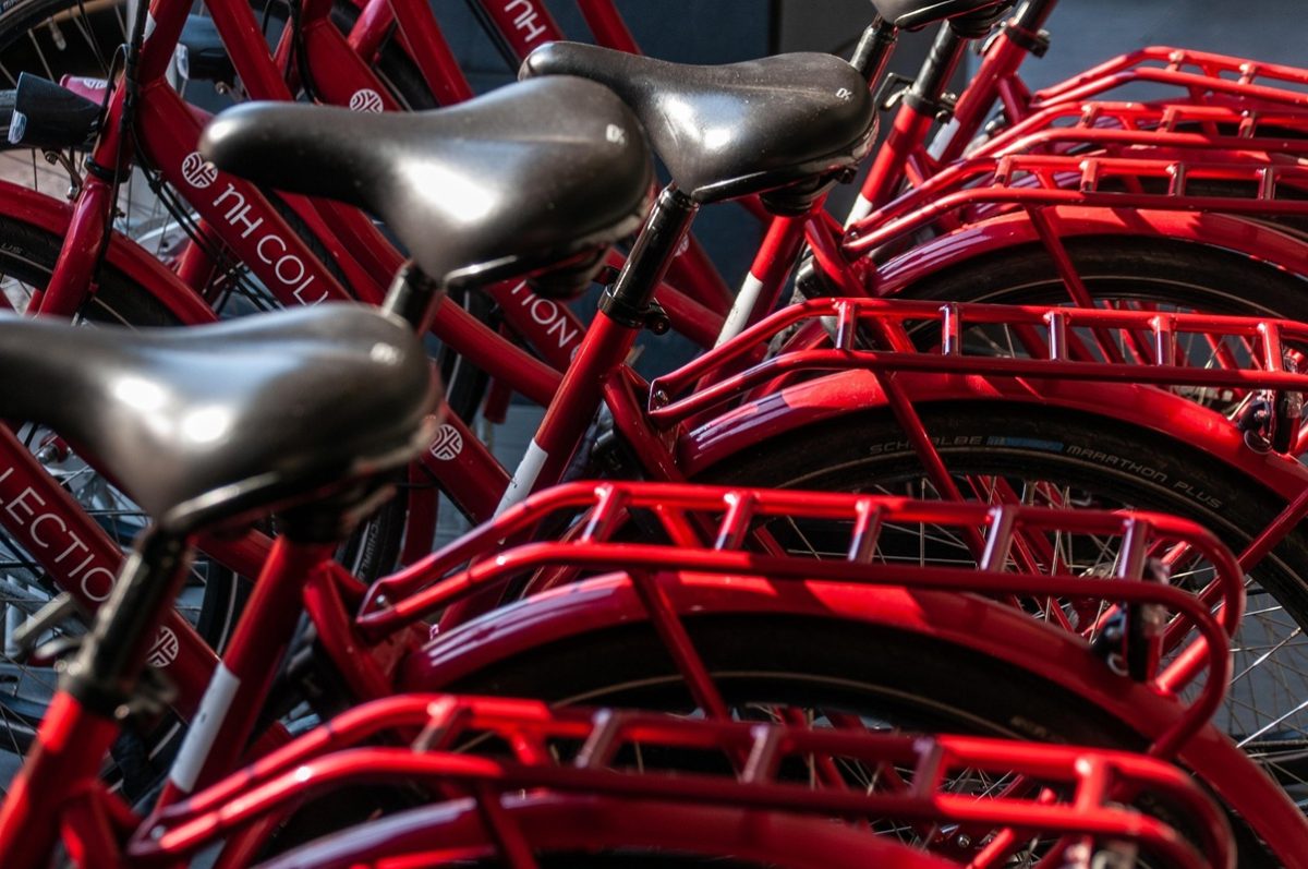 Cycles Strebelle