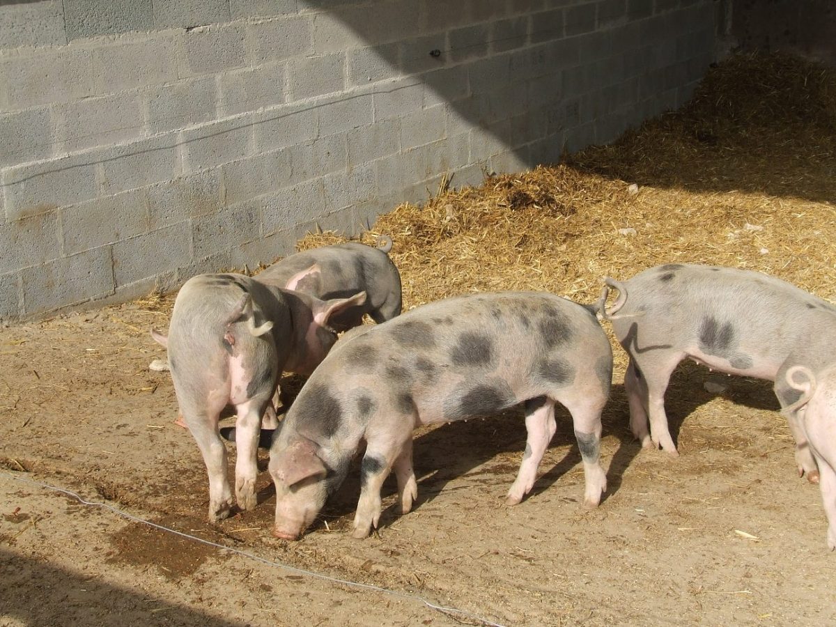 La Ferme de La Mantellerie