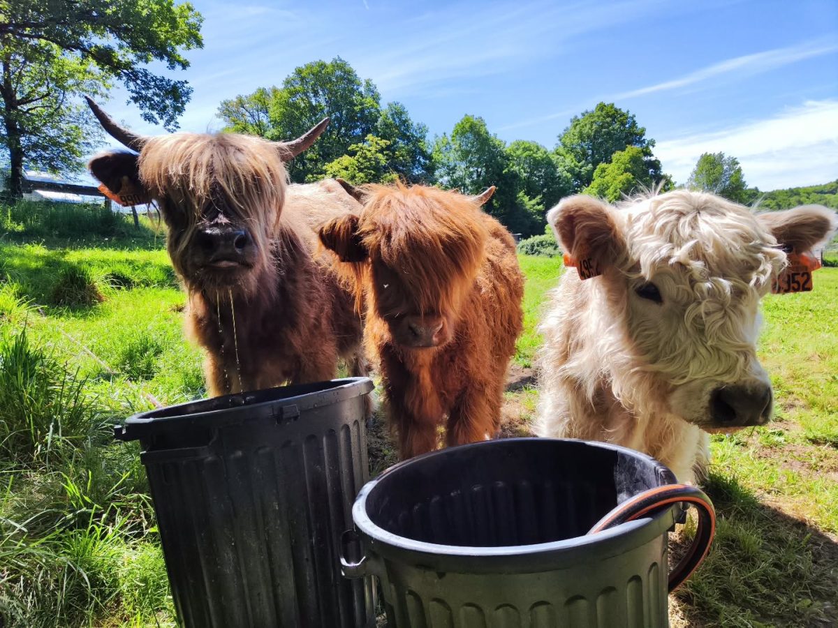 Ferme Naturaleza