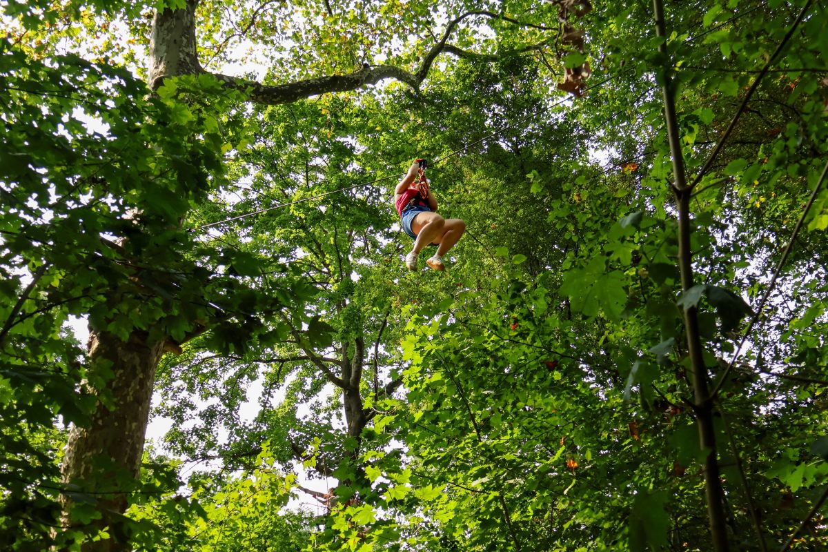 Accrobranche du Léo Parc Aventure