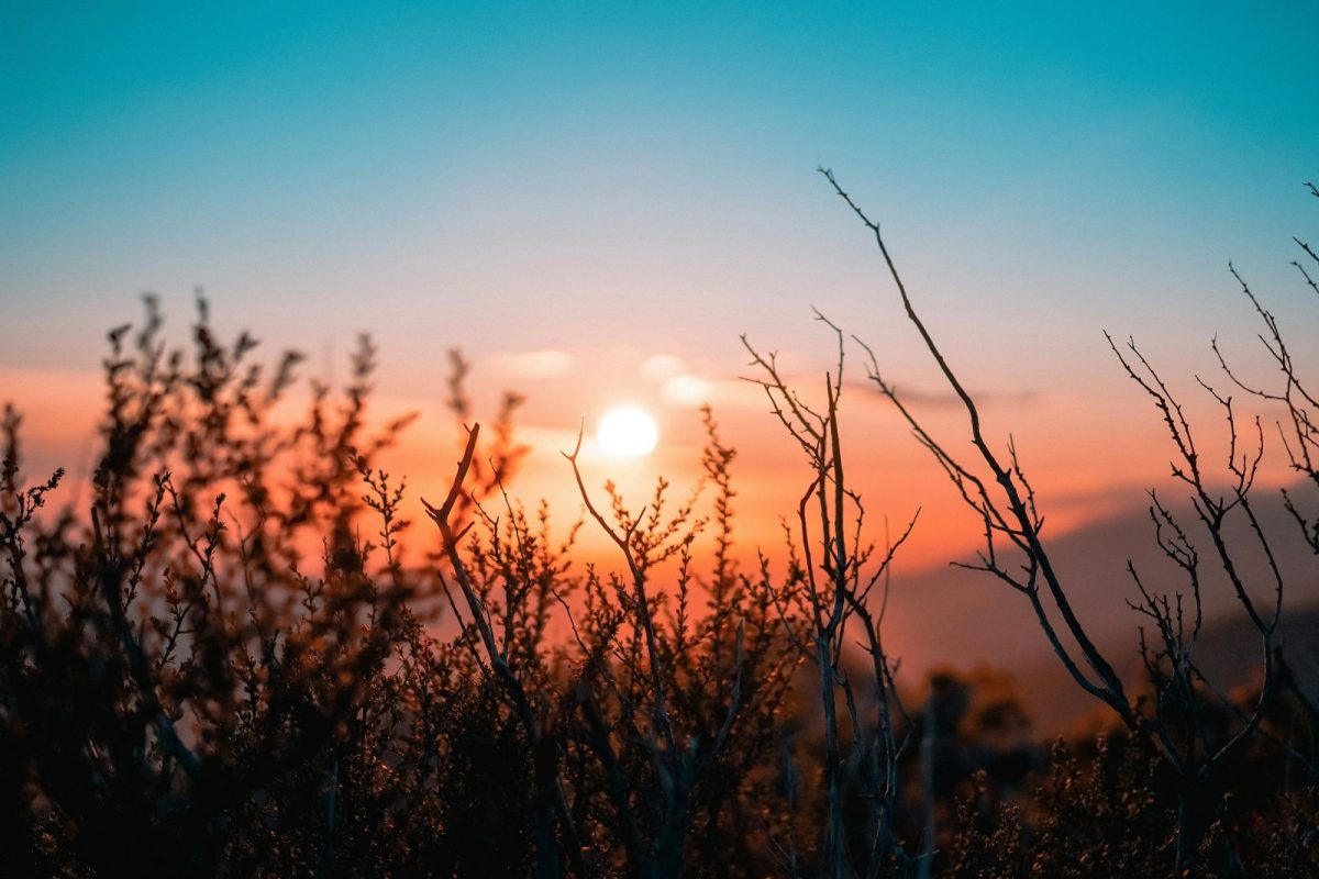 LEVER DU SOLEIL SUR LE CAUSSE MÉJEAN