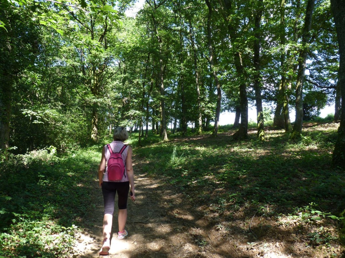 Parcours d'orientation