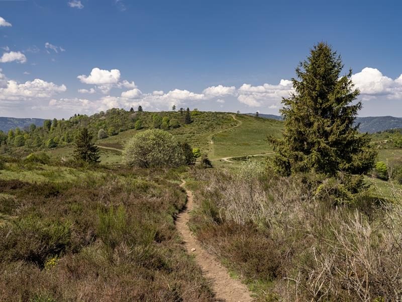 Sentiers Plaisir : Solbach et le Mont Saint Jean