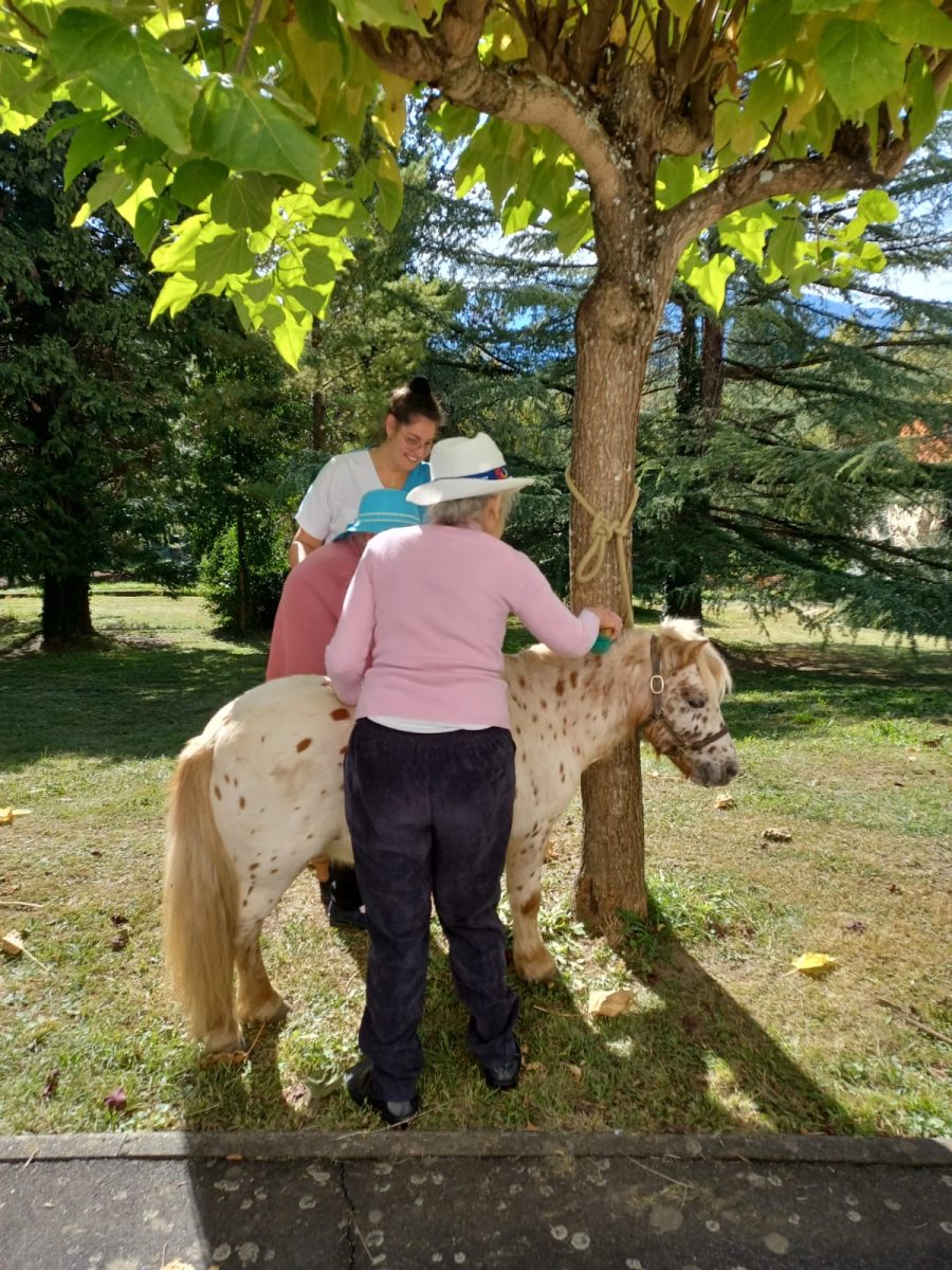 LES DESTRIERS DE SAINT-BERTRAND