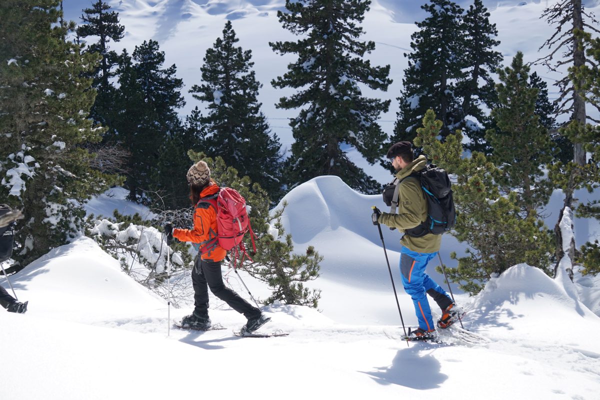 Balade accompagnée en raquettes à La Pierre Saint-Martin
