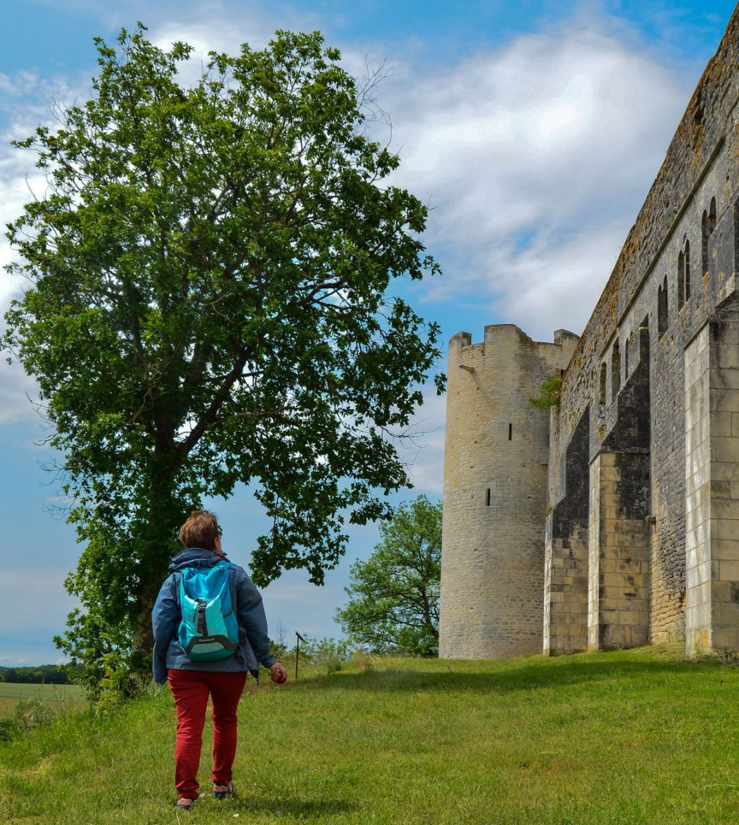 Le défi du Comte de Nevers / La Puisaye Légendaire, votre boussole en poche !