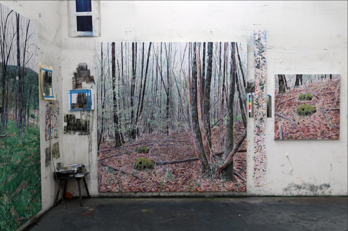 Exposition "Sous bois" d'Yves Belorvey