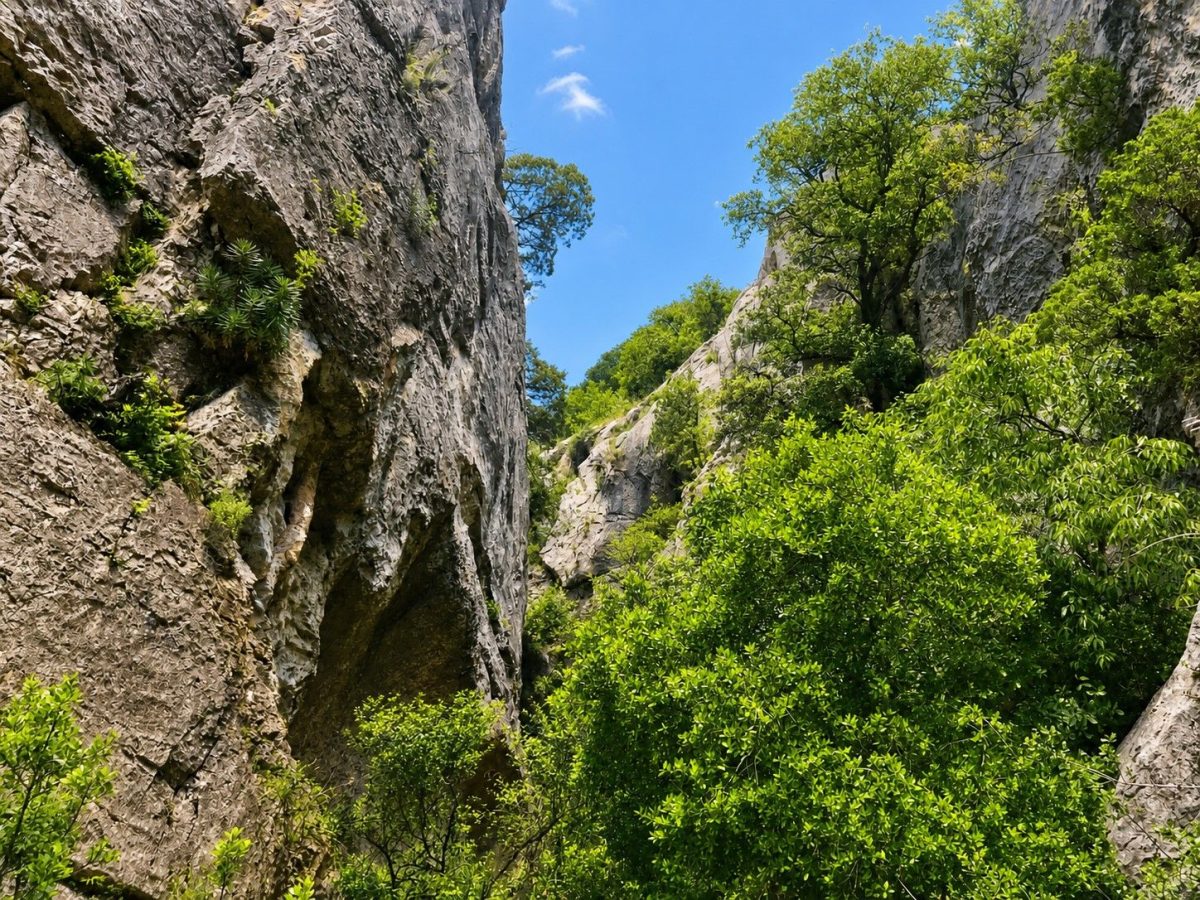 SITE D'ESCALADE DU JONCAS
