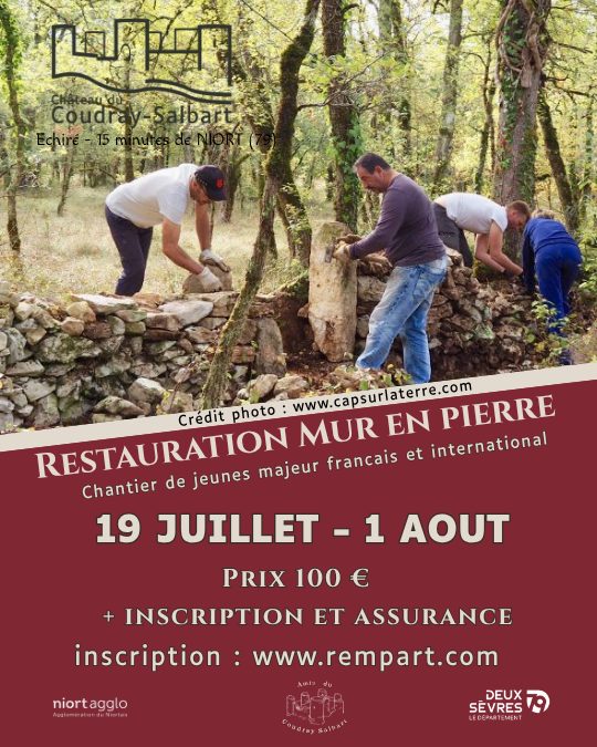 Restauration d'un mur en pierre au Château du Coudray-Salbart à Échiré