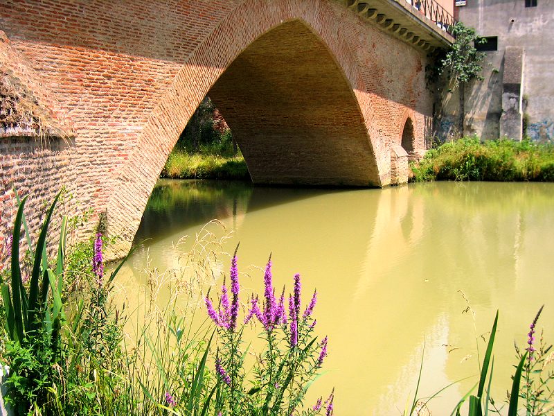 AIRE DU PONT DE LA SAVE