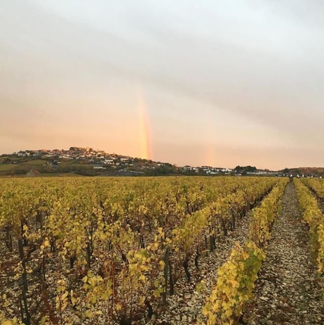 Domaine Fouassier