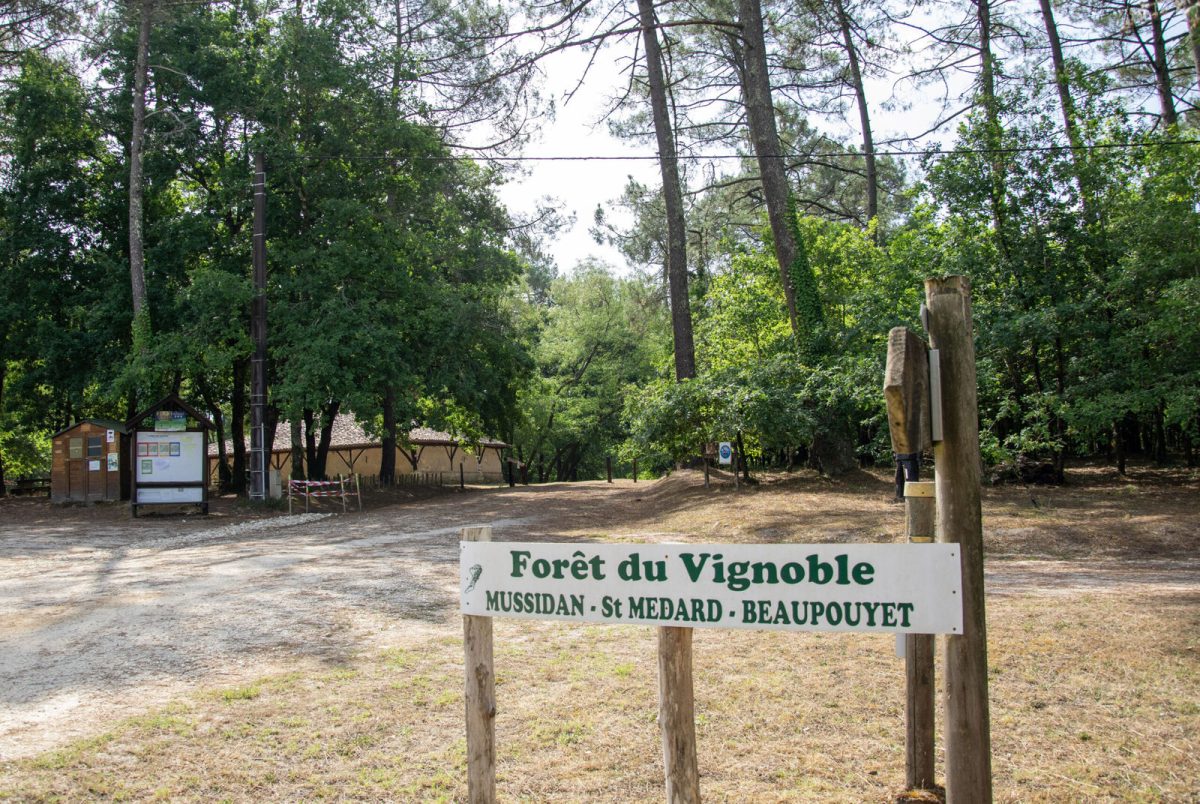 La Forêt du Vignoble