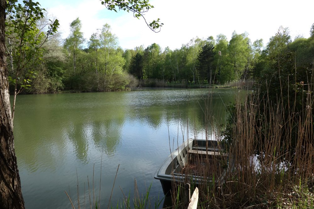 Etang de pêche de Guesnes