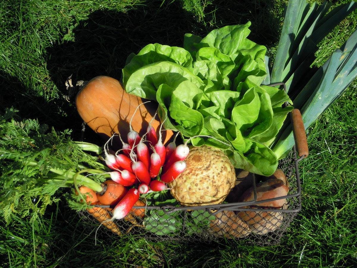 Micro-Ferme des Châtaigniers
