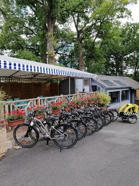 Locations de vélos électriques