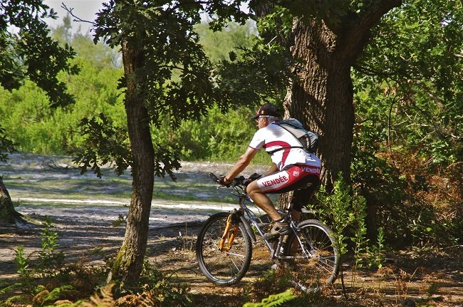 ...à  bicyclette !
