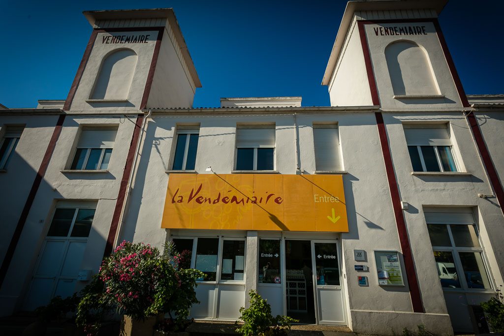 LA VENDÉMIAIRE