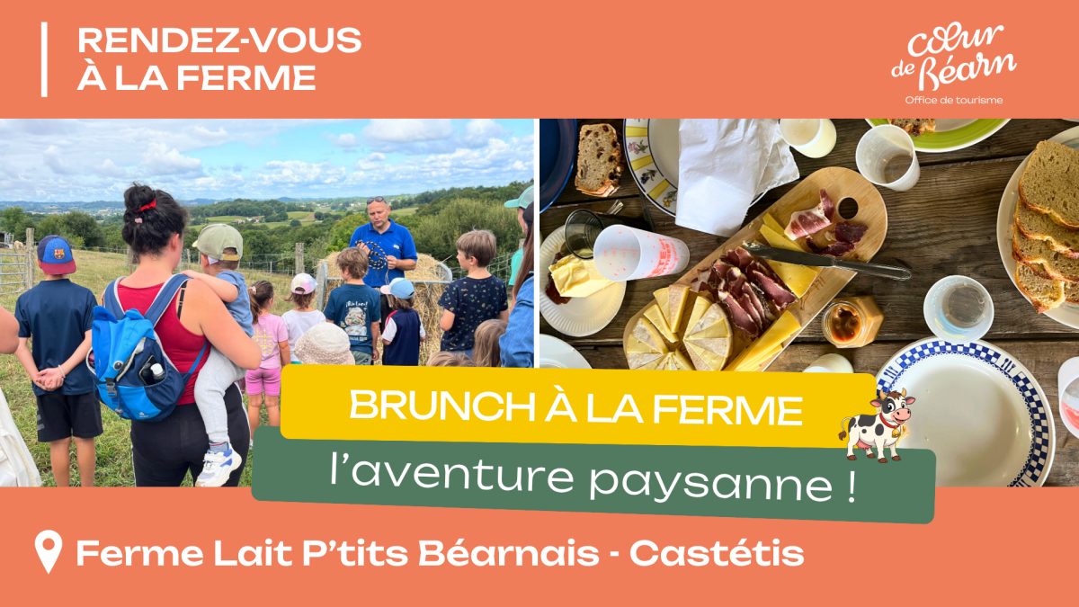 Brunch à la ferme