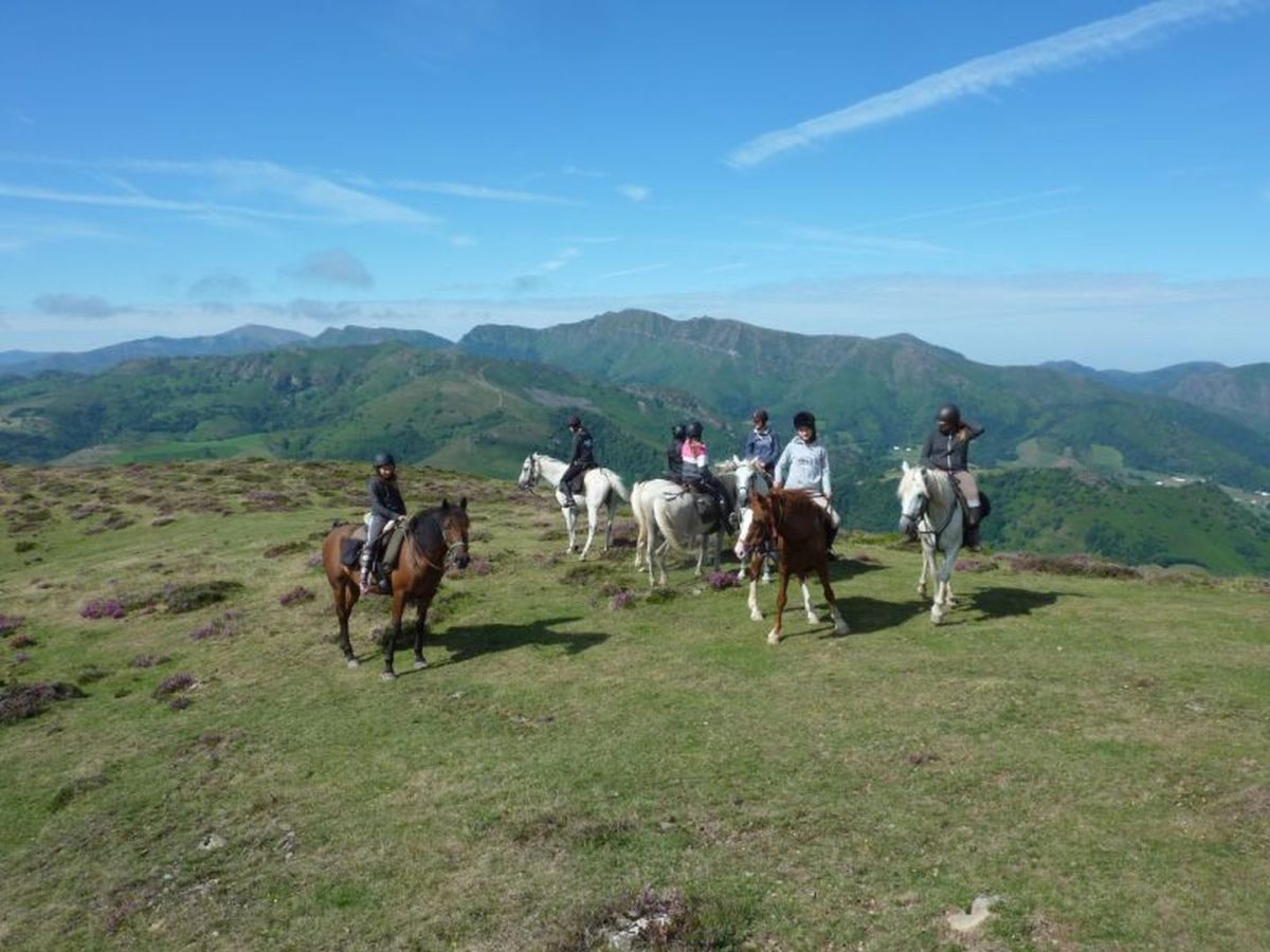 Ferme Équestre Les Collines