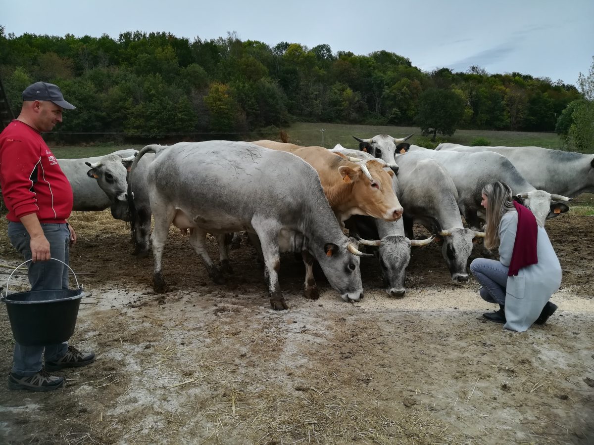 FERME FAMILLE SOLLE