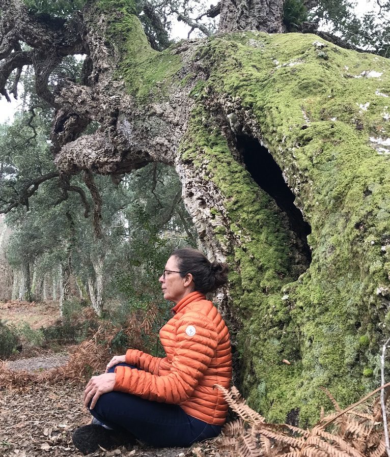 Bain de forêt