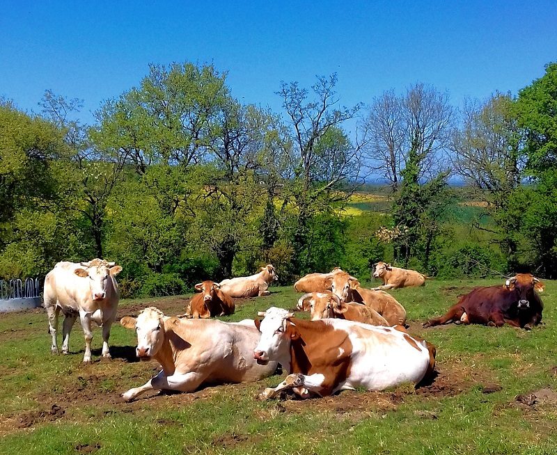 FERME DE LA BURTHE