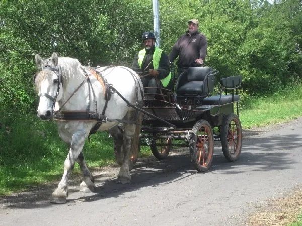 Ecole d'attelage de l'Aubrac - Cours et stages d'attelage