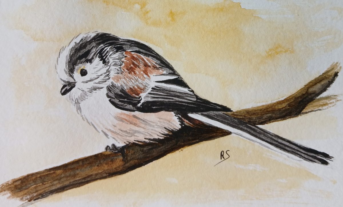 Exposition de peinture : Séverine Rennane